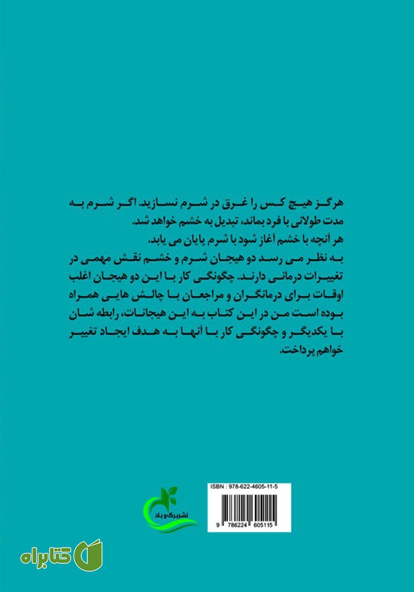 پشت جلد کتاب شرم و خشم در روان درمانی