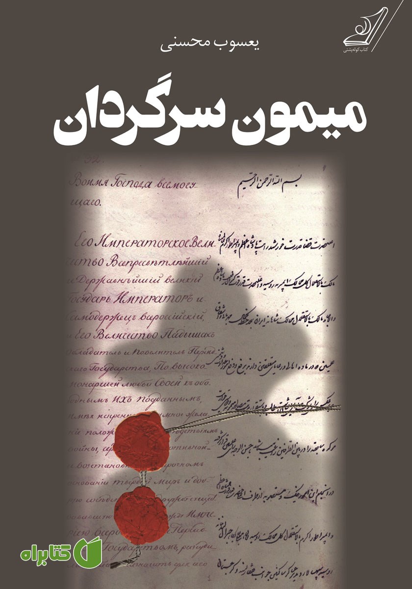 کتاب میمون سرگردان