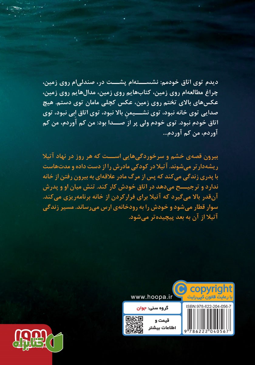 پشت جلد کتاب بیرون