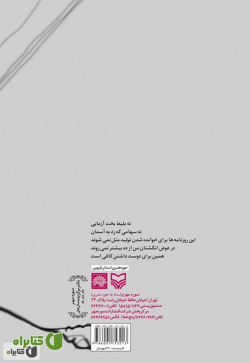 پشت جلد کتاب این خیابان ها هنوز خواب گنجشک می بینند