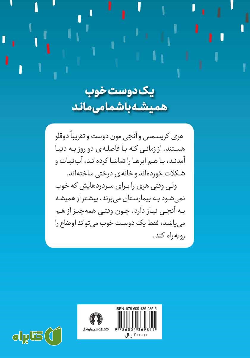 پشت جلد کتاب خانه‌ی ابر و هنر