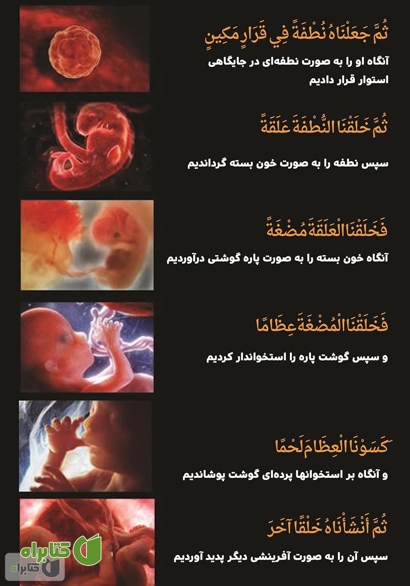 پشت جلد کتاب در جستجوی خدا: اثبات وجود خدا از طریق معجزات علمی قرآن
