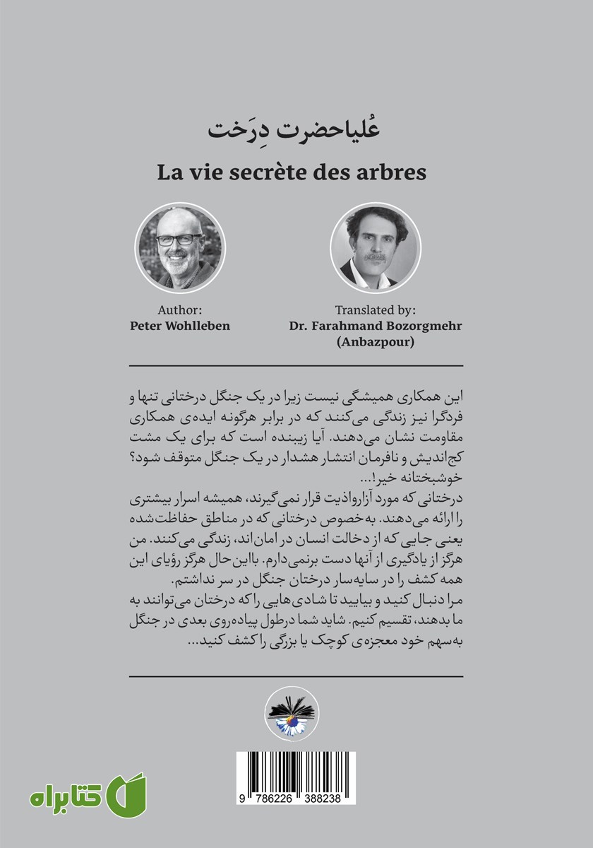 پشت جلد کتاب علیا حضرت درخت