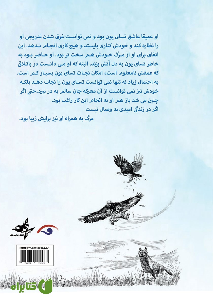 پشت جلد کتاب ماجراهای یک قو