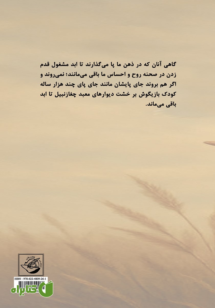 پشت جلد کتاب سندروم ملخ سرگردان