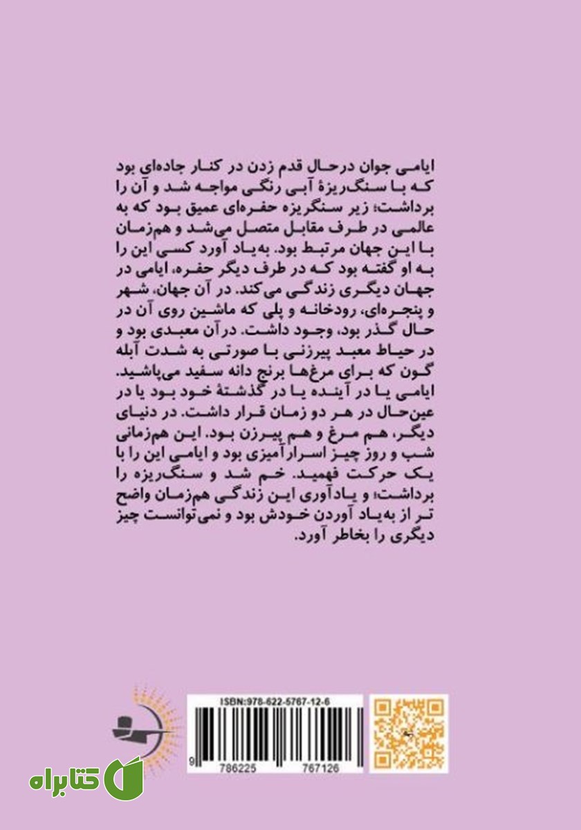 پشت جلد کتاب شب و روزی ناگفته