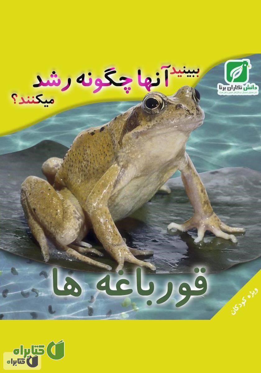 کتاب ببینید قورباغه‌ها چگونه رشد می‌کنند؟