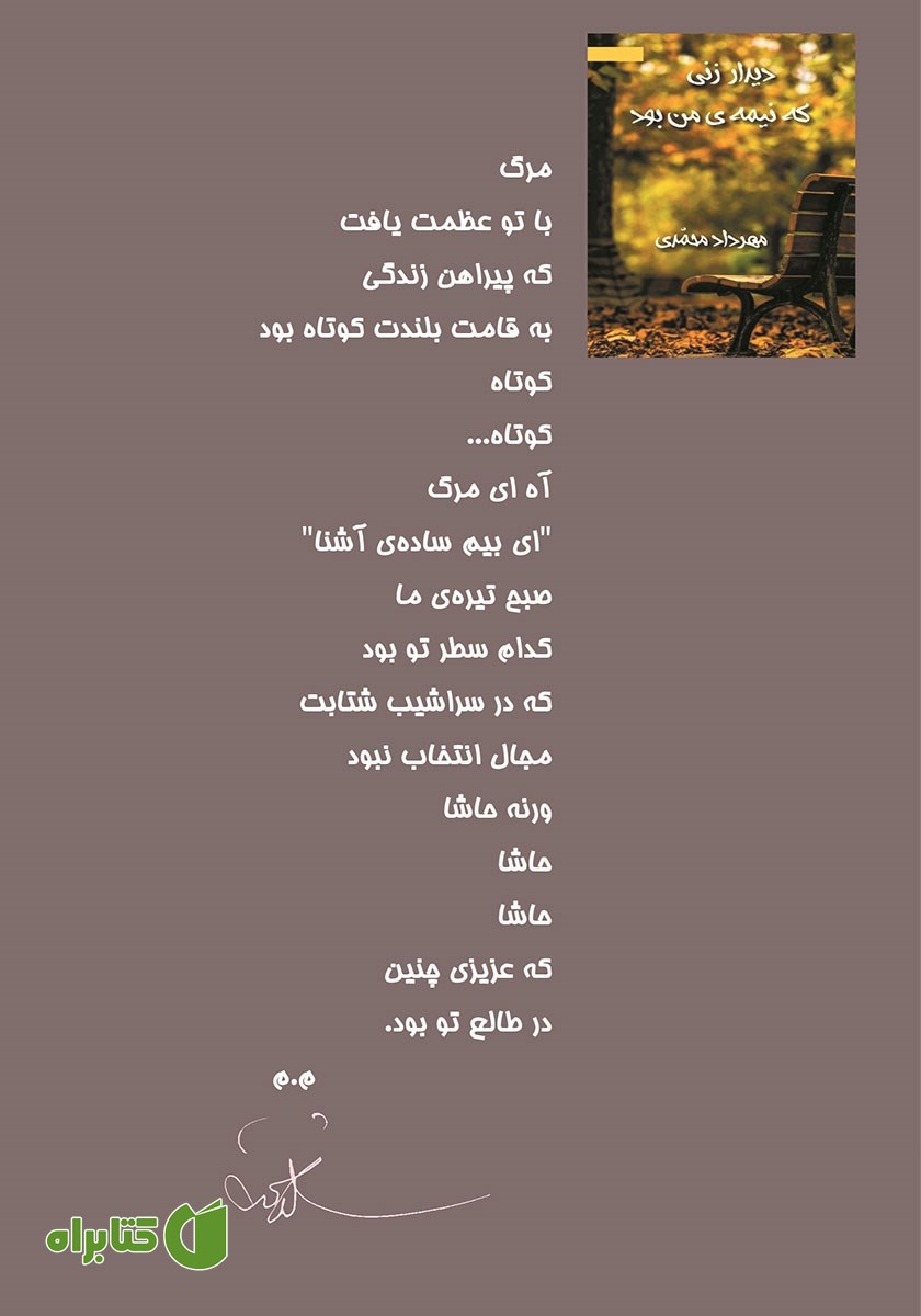 پشت جلد کتاب دیدار زنی که نیمه‌ی من بود