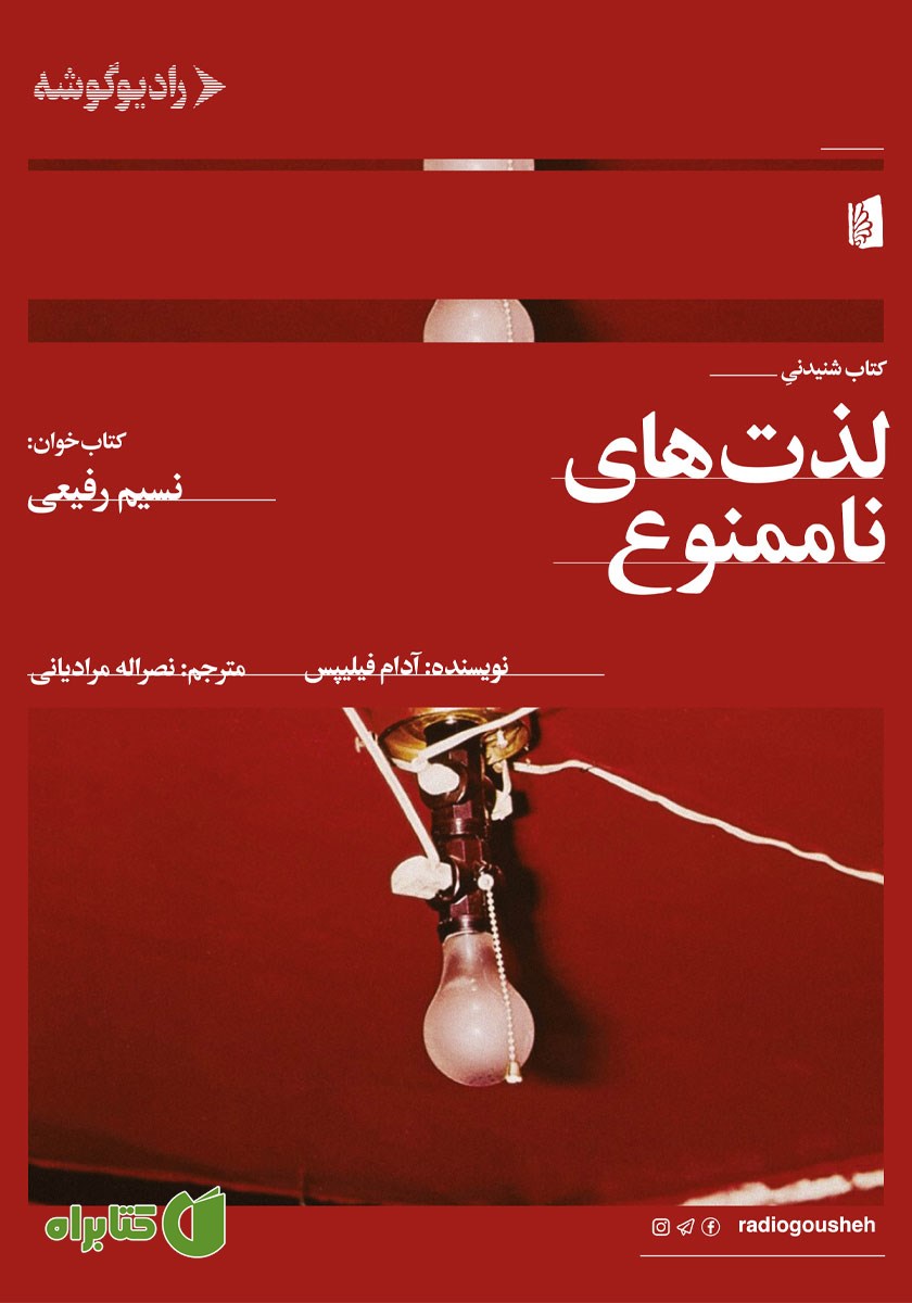 کتاب صوتی لذت‌های ناممنوع