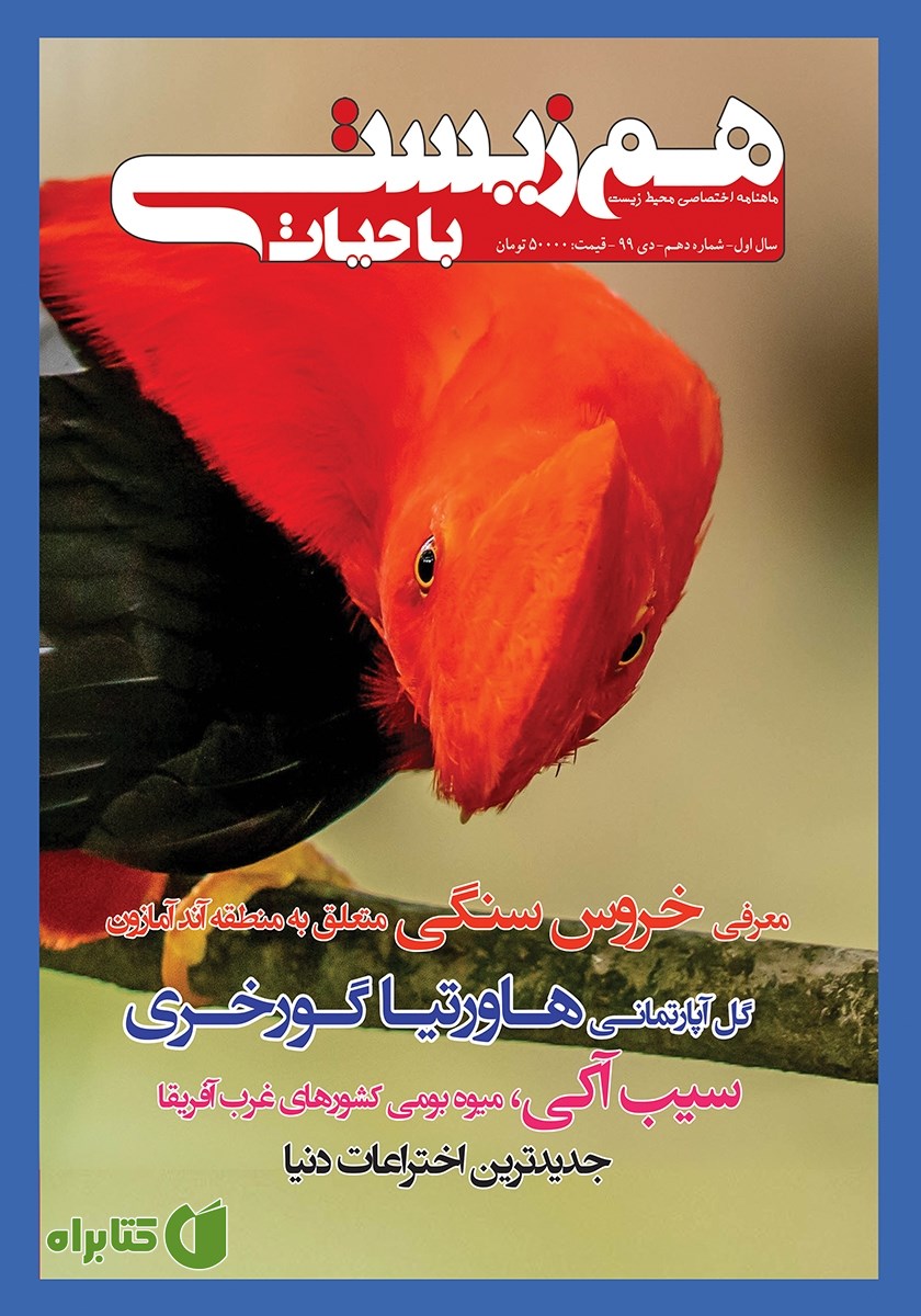 ماهنامه تخصصی همزیستی با حیات - شماره 10 - دی 99