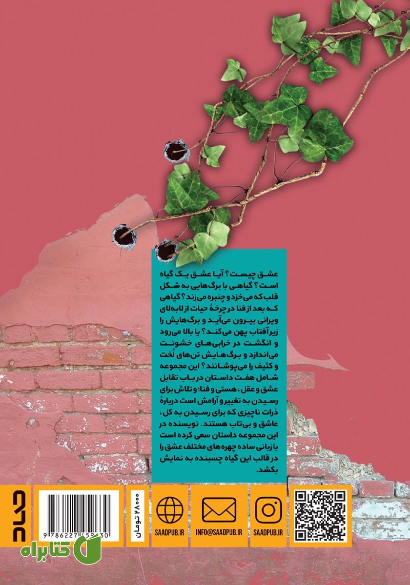 پشت جلد کتاب گاه رویش عشقه