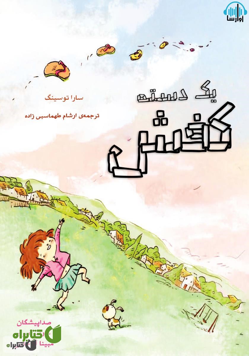 کتاب صوتی یک دسته کفش