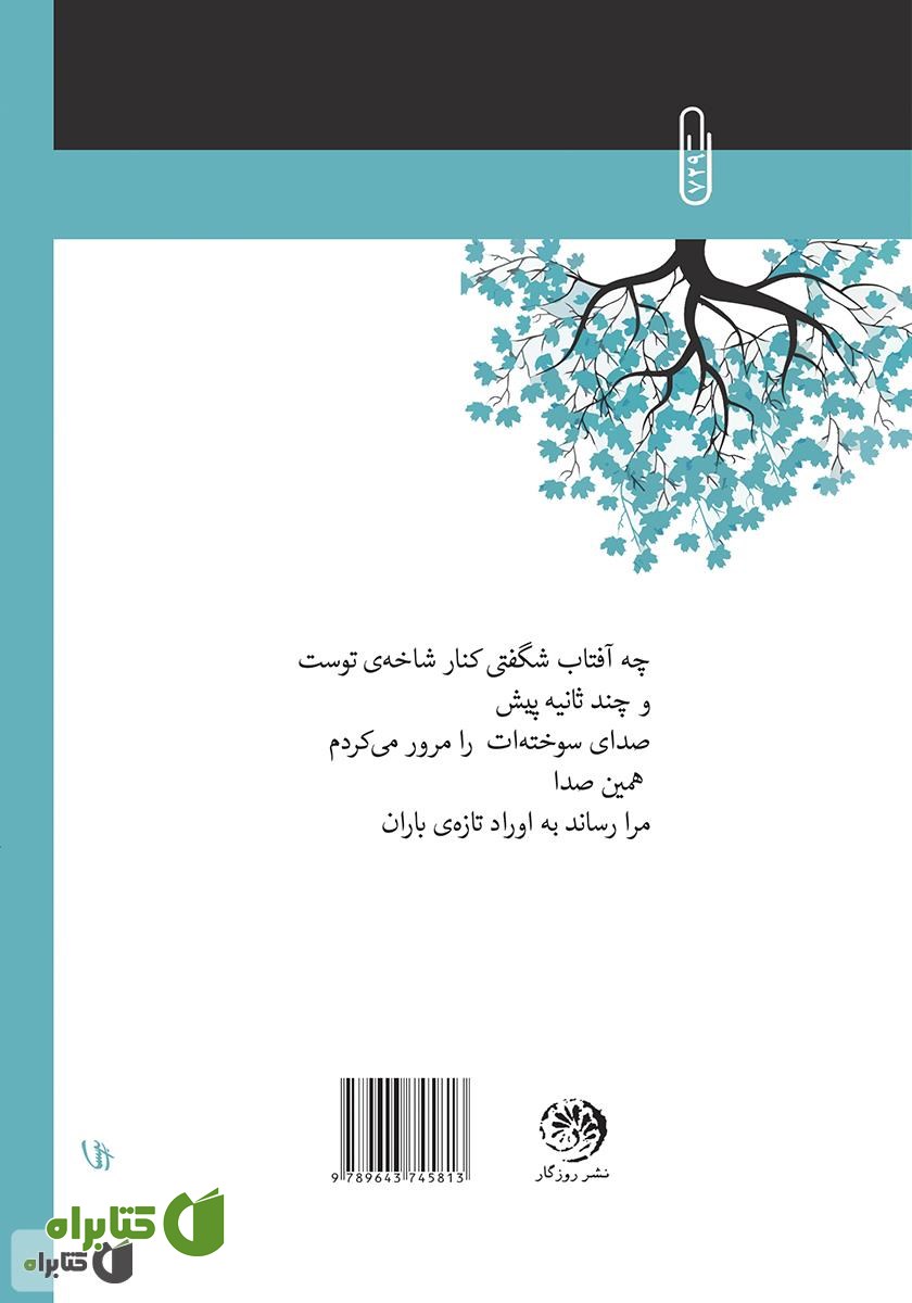 پشت جلد کتاب چه آفتاب شگفتی کنار شاخه‌ی توست!
