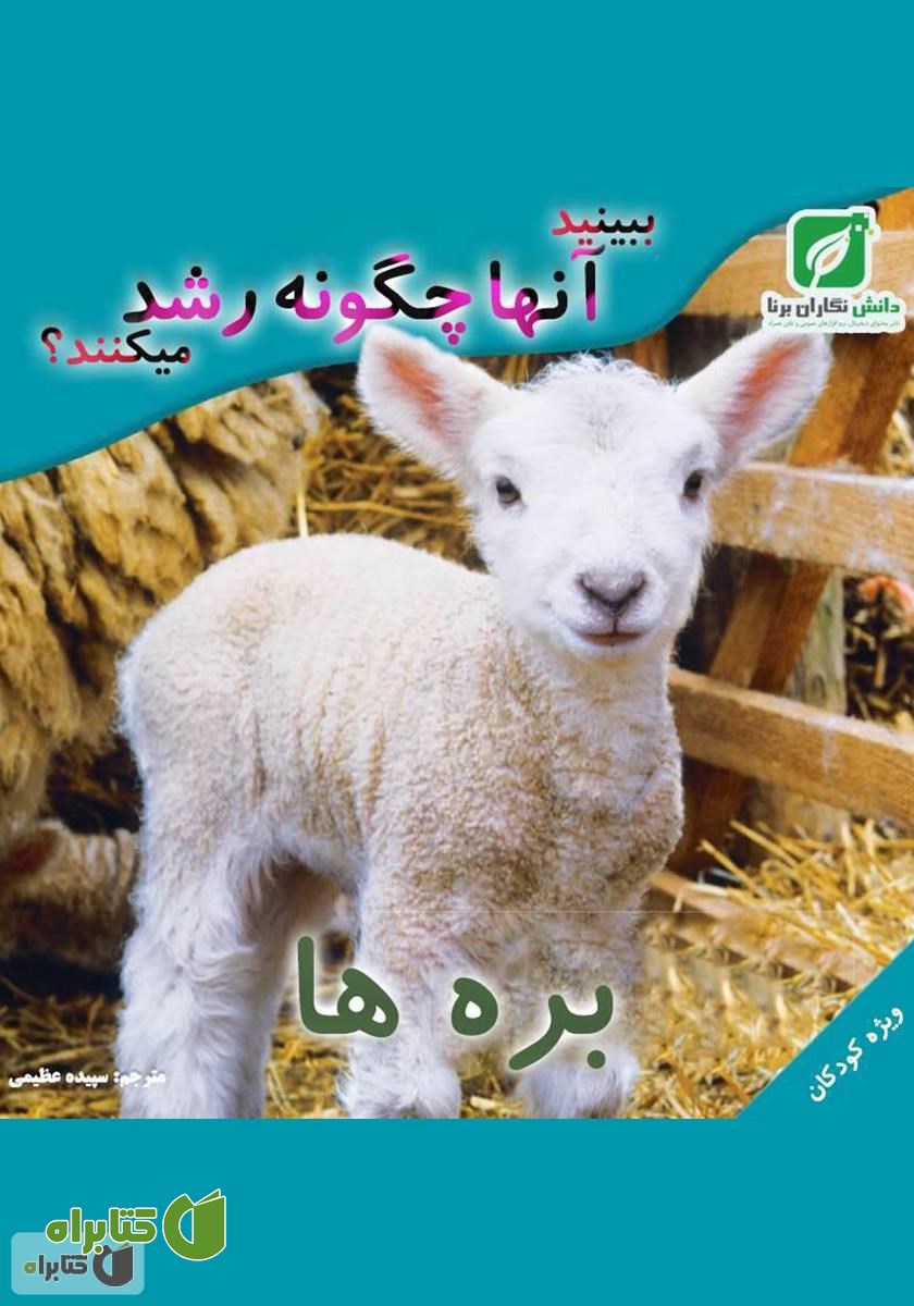 کتاب ببینید بره‌ها چگونه رشد می‌کنند؟