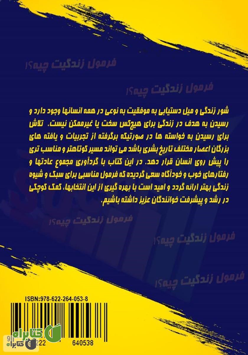 پشت جلد کتاب فرمول زندگی‌ات چیه؟ راهکارهایی برای موفقیت فردی