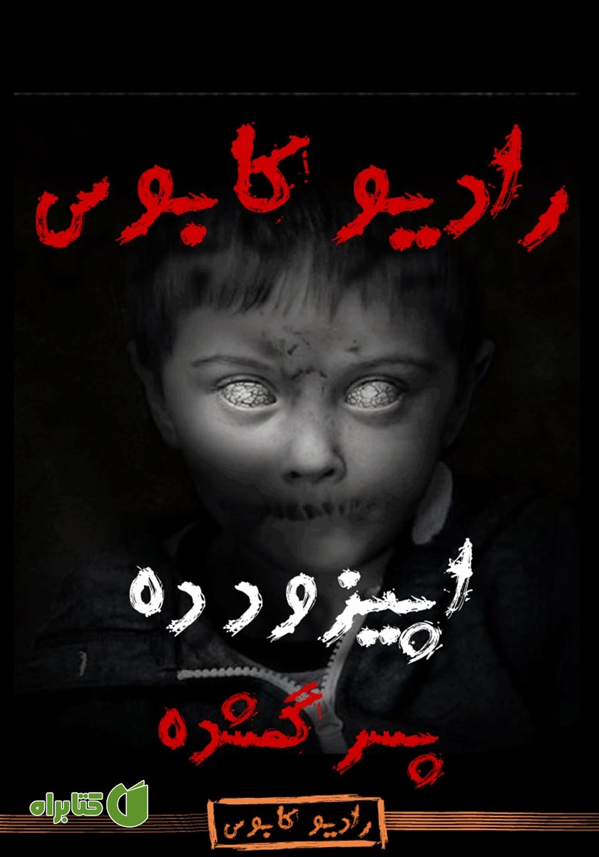 خلاصه کتاب صوتی پسر گمشده: رادیو کابوس - اپیزود دهم