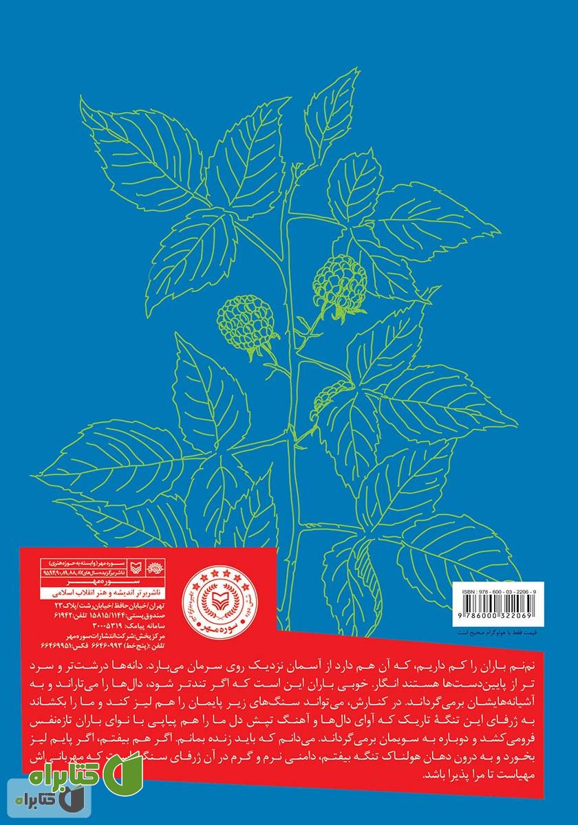پشت جلد کتاب باران تمشک