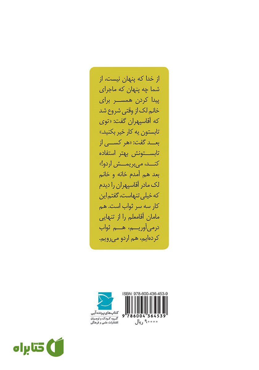 پشت جلد کتاب ماجراهای دو تا بچه چلمن در یک تابستان خیلی معمولی