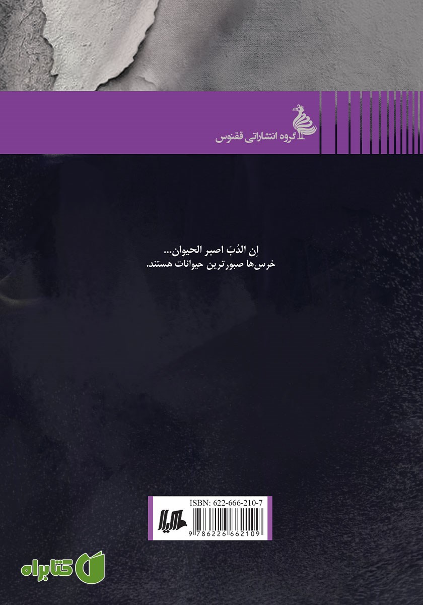 پشت جلد کتاب شب به خرس