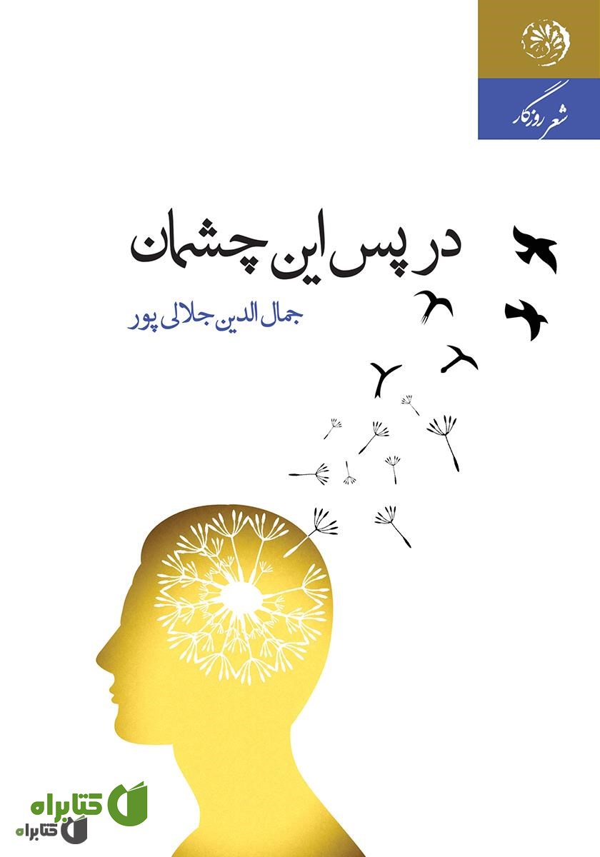 کتاب در پس این چشمان