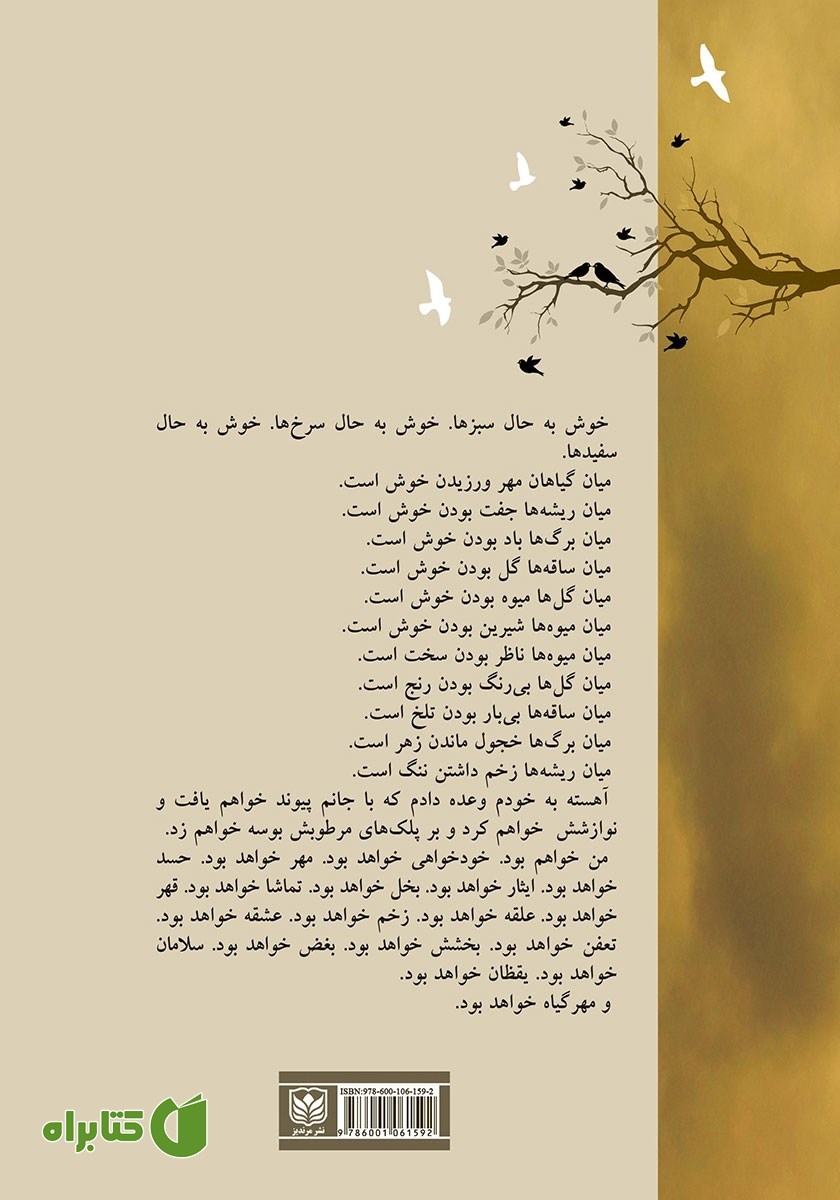 پشت جلد کتاب مدرسه عالی پرواز