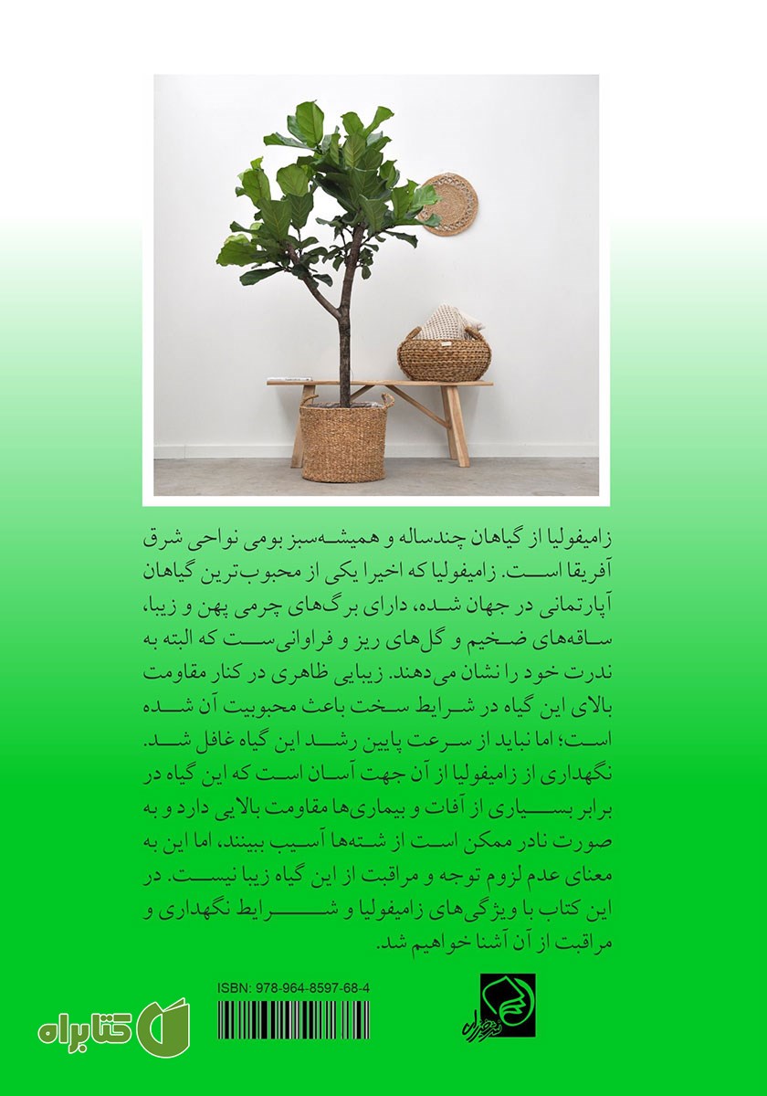 پشت جلد کتاب آموزش نگهداری از گیاه زامیفولیا