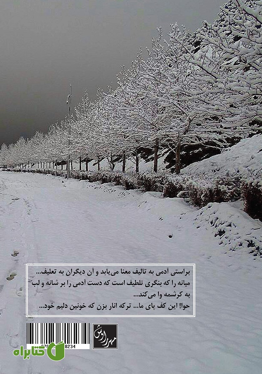 پشت جلد کتاب ز مستان به موسم زمستان