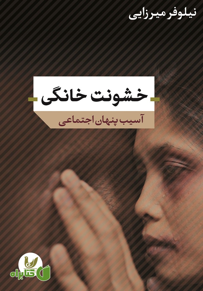 کتاب خشونت خانگی