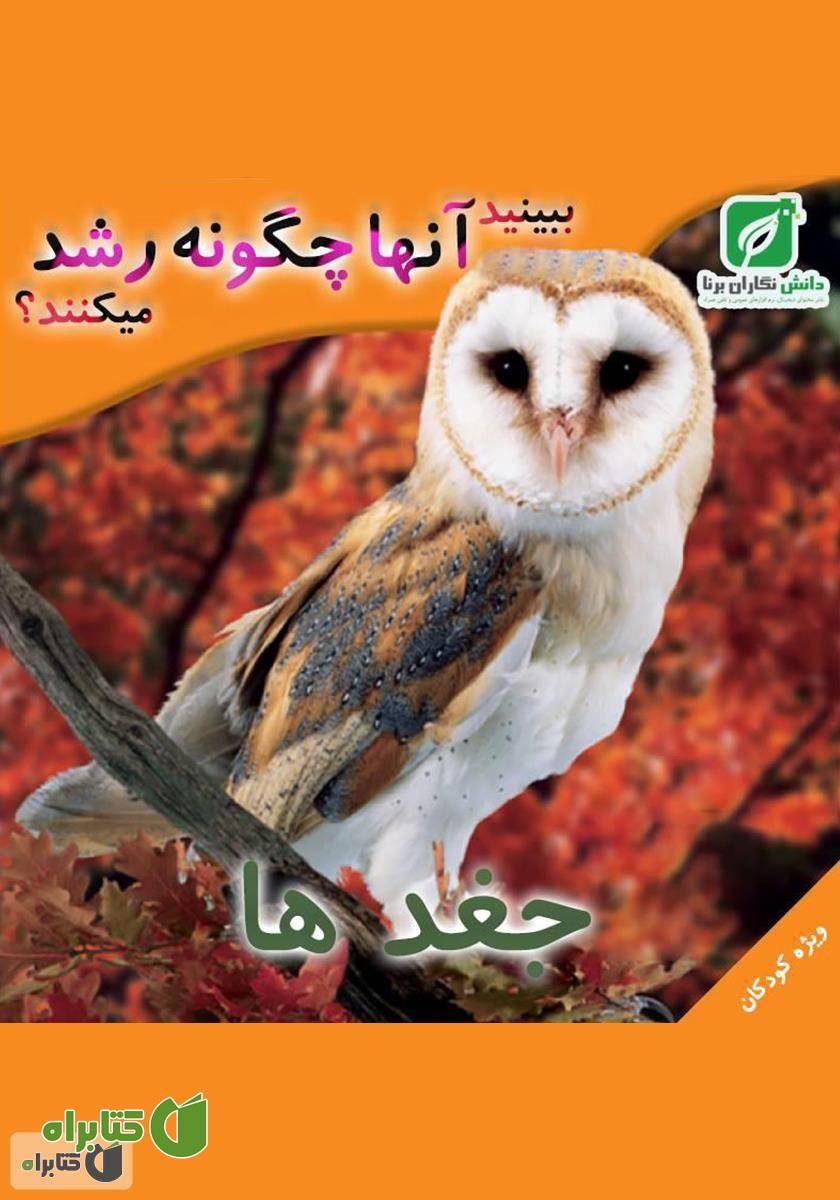 کتاب ببینید جغدها چگونه رشد می‌کنند؟