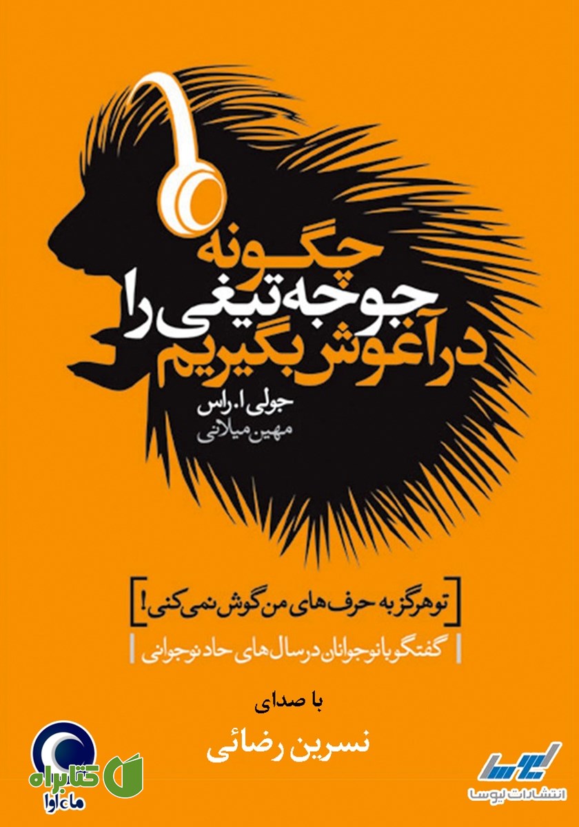 کتاب صوتی چگونه جوجه تیغی را در آغوش بگیریم