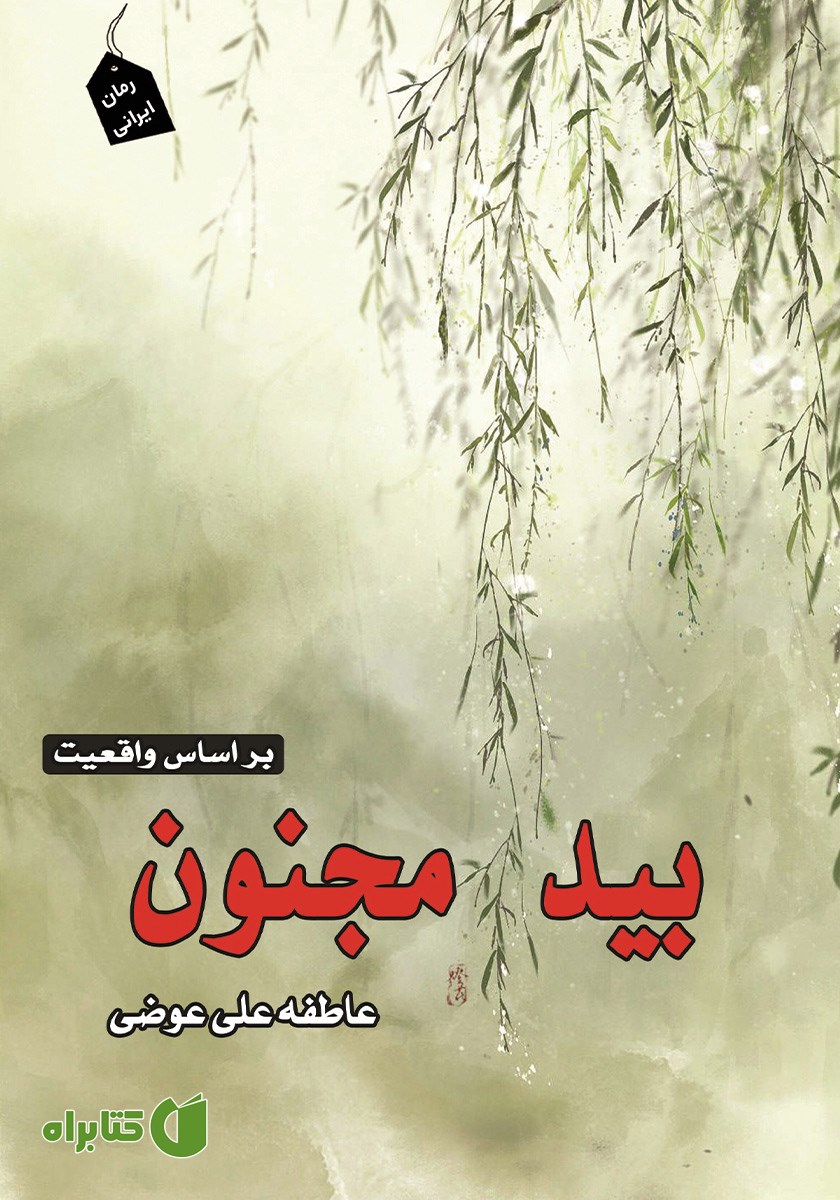 کتاب بید مجنون