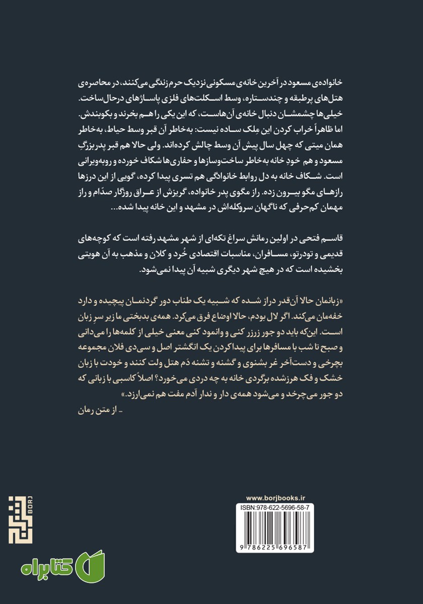 پشت جلد کتاب ناخن کشیدن روی صورت شفیع الدین