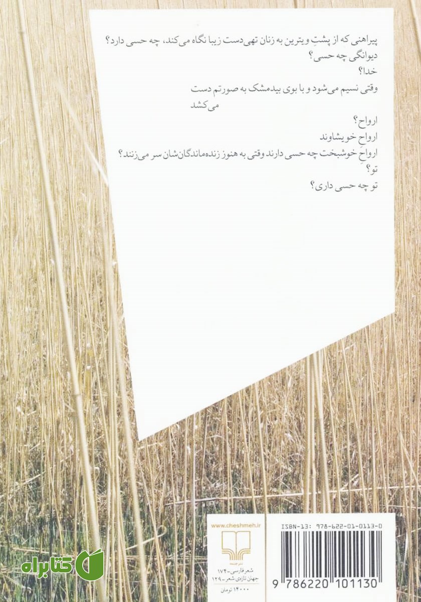 پشت جلد کتاب ابری که از مقابل ماه می‌گذرد