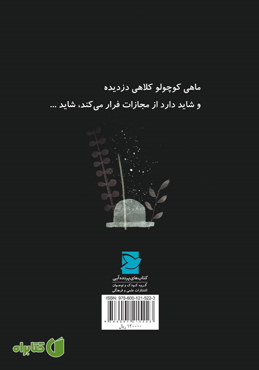 پشت جلد کتاب کلاه ماهی بزرگه گم شده