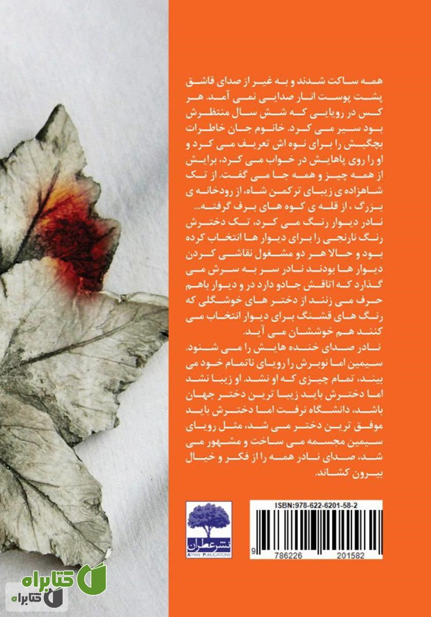 پشت جلد کتاب مجسمه‌ای به نام نوبر
