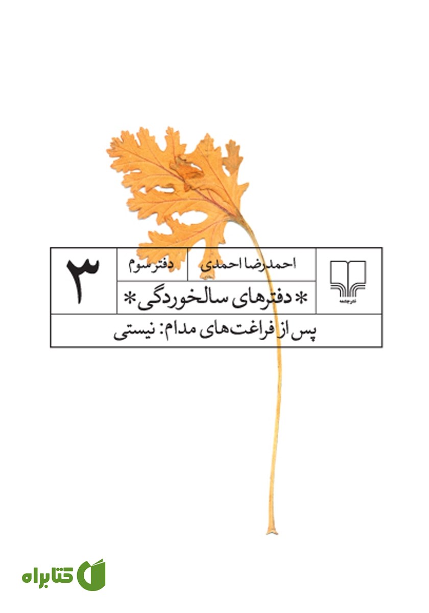 کتاب دفترهای سالخوردگی 3: پس از فراغت‌های مدام: نیستی