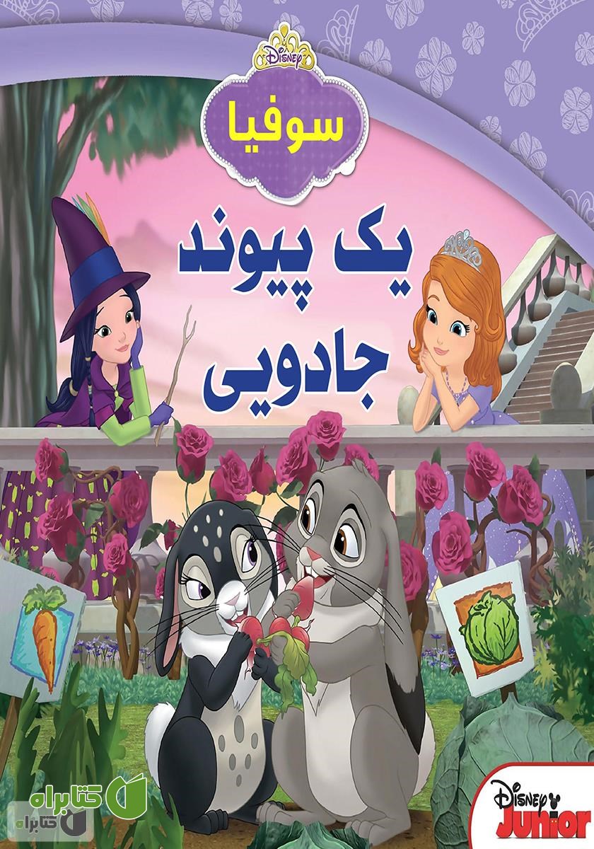 کتاب یک پیوند جادویی