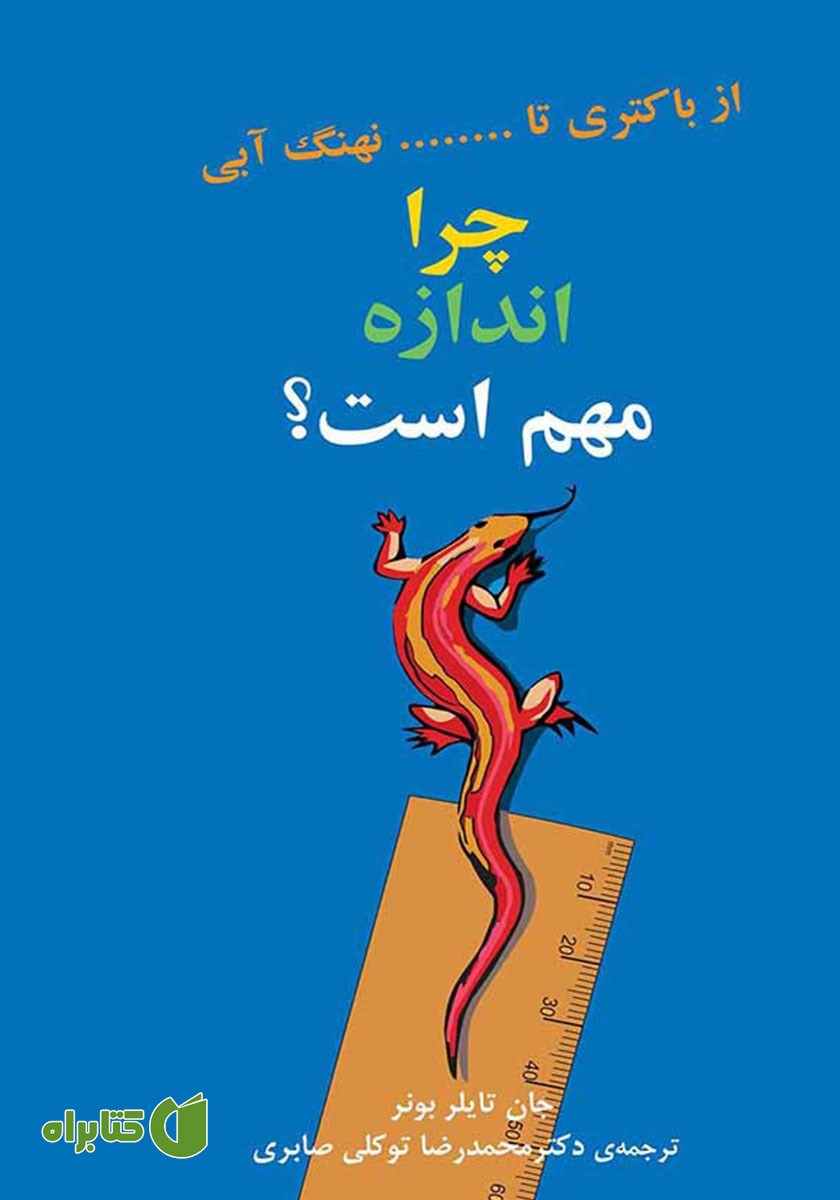 کتاب چرا اندازه مهم است؟