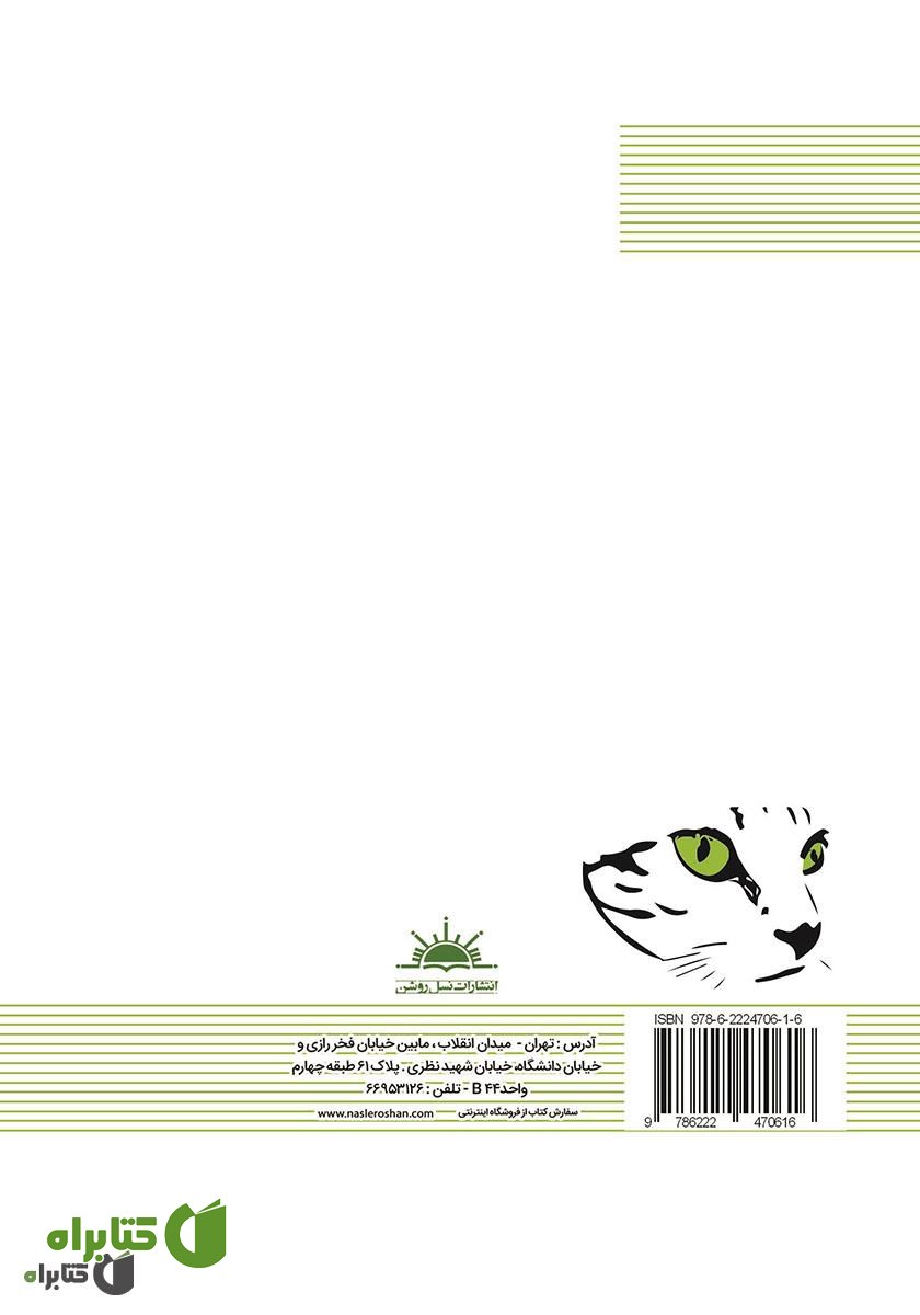 پشت جلد کتاب انتقام پیسو