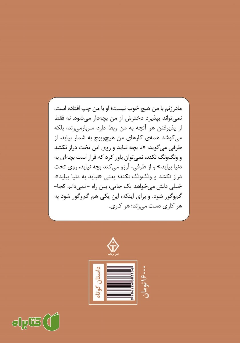 پشت جلد کتاب آدم‌ها و دودکش‌ها