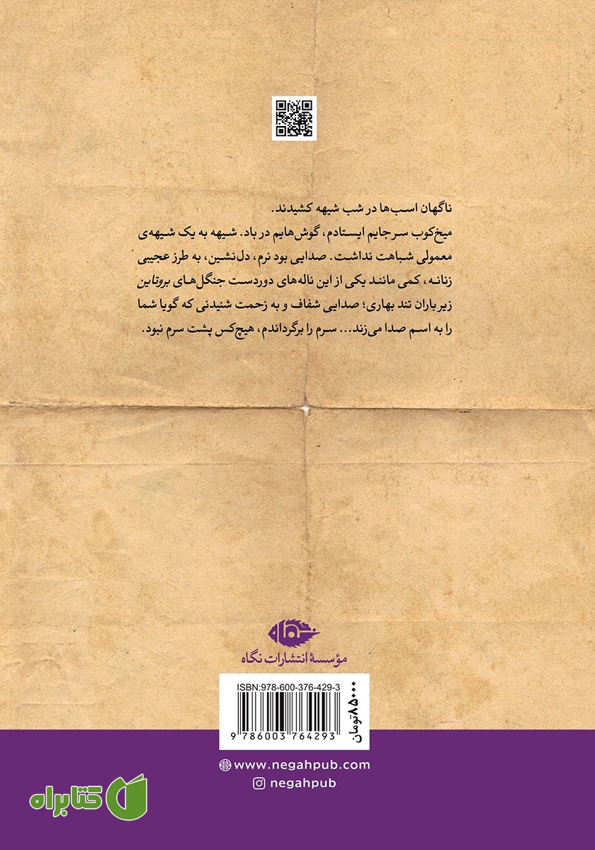 پشت جلد کتاب داستان مادری که دختر پسرش شد