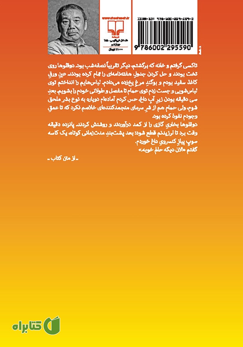 پشت جلد کتاب پین بال، 1973
