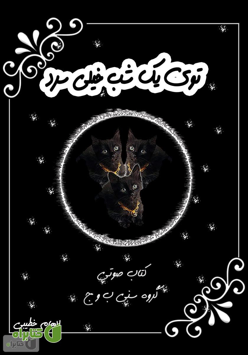 کتاب صوتی توی یک شب خیلی سرد