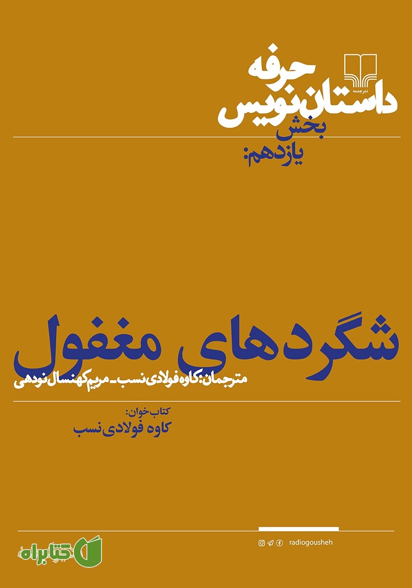 کتاب صوتی حرفه: داستان‌نویس 11: شگردهای مغفول