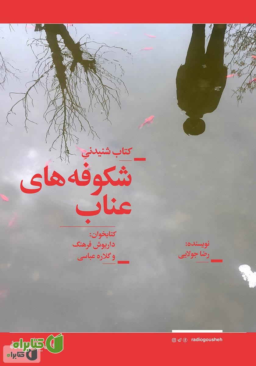 کتاب صوتی شکوفه‌های عناب
