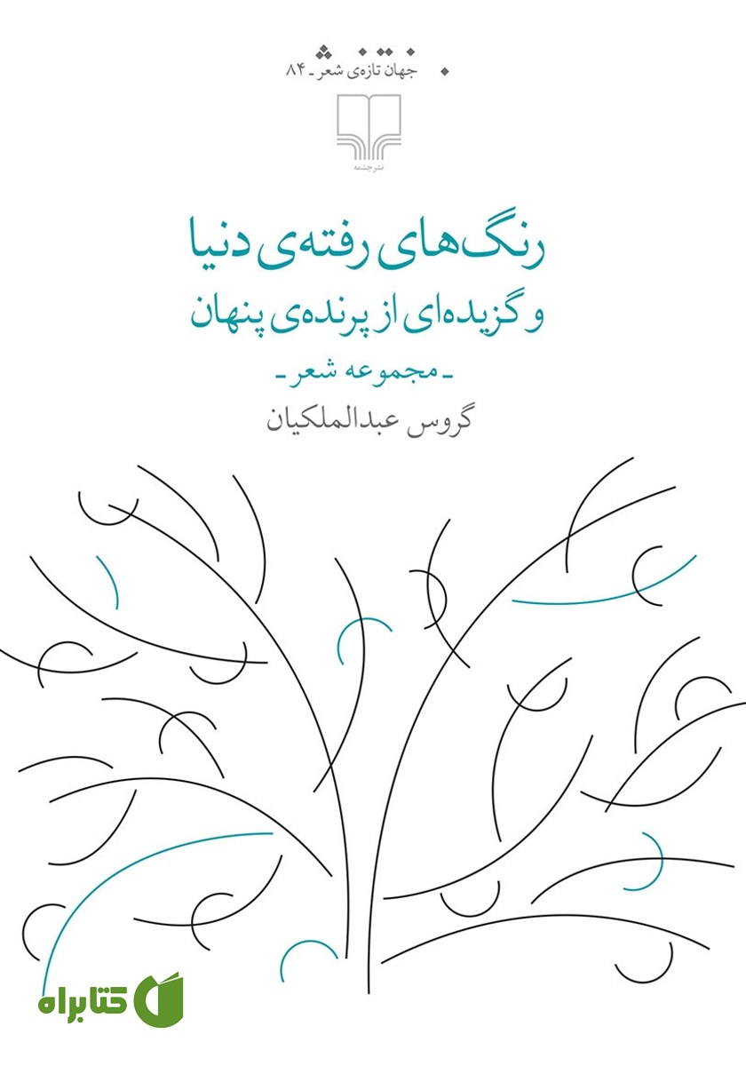 کتاب رنگ‌های رفته‌ی دنیا و گزیده‌ای از پرنده‌ی پنهان
