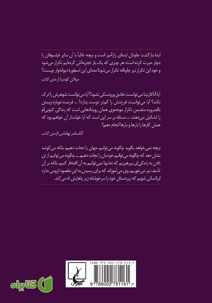 پشت جلد کتاب در هزار توی نیچه