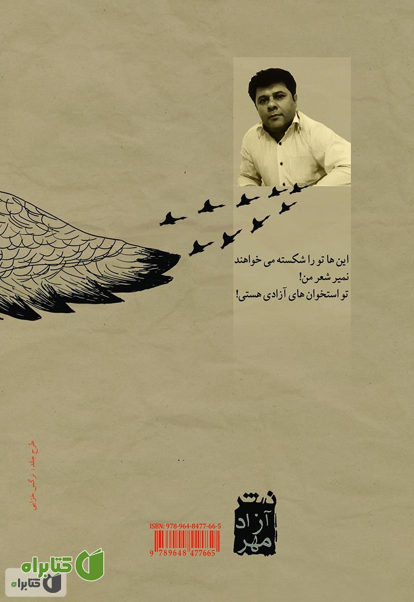 پشت جلد کتاب چشم که بچرخانی غازهای وحشی خوشبخت می شوند