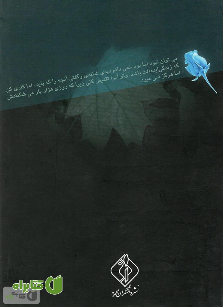پشت جلد کتاب عمر گل یخ: مجموعه داستان