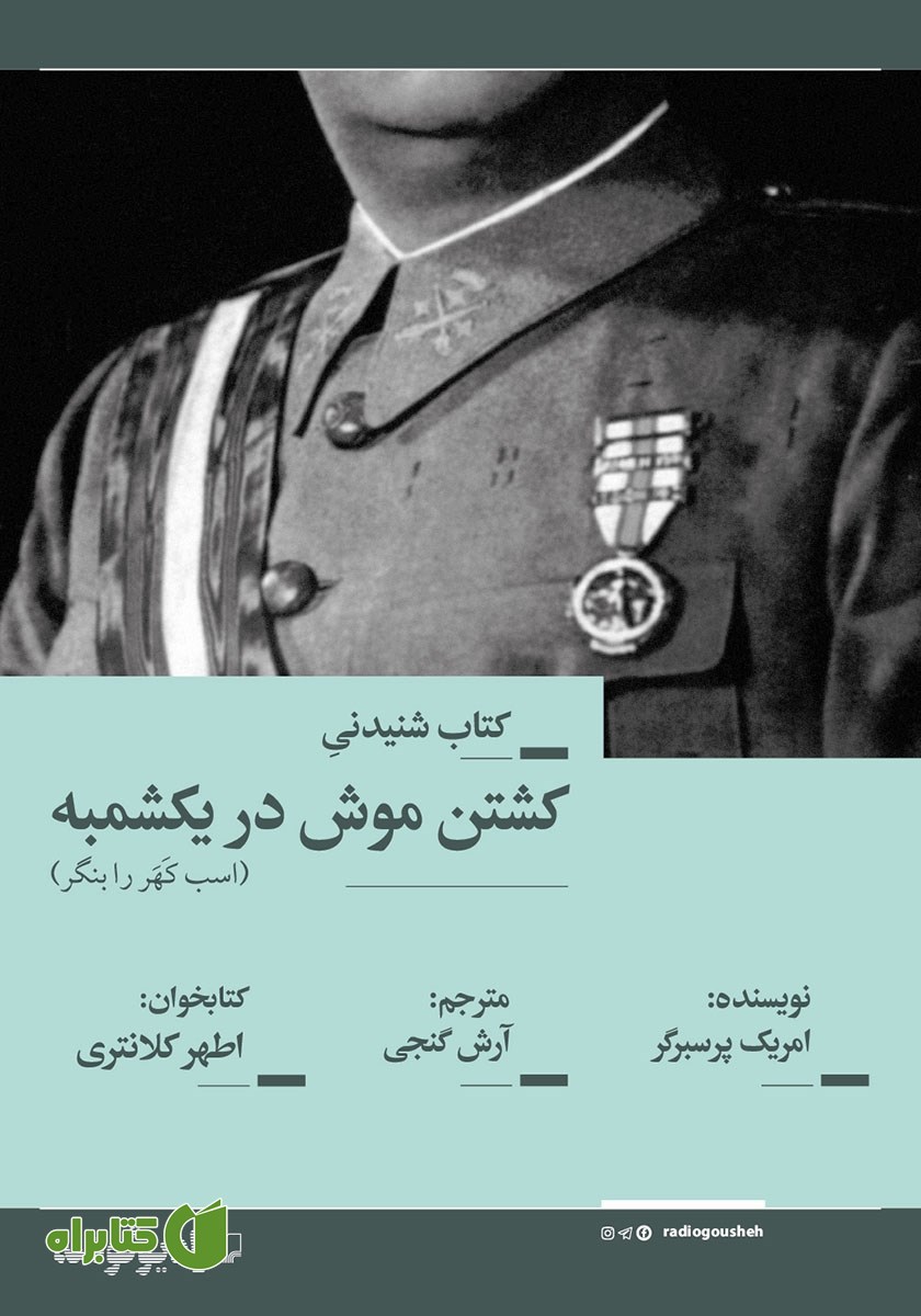 کتاب صوتی کشتن موش در یکشمبه